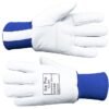 Supplier of Ice Pro Leather Freezer Gloves with Thick Foam Lining in UAE